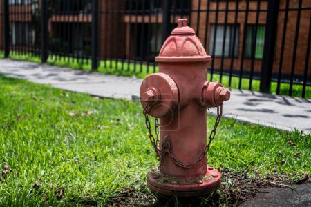 Red fire hydrant in the city