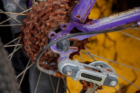 Photo for Mechanical structure of a rear bicycle wheel - Royalty Free Image