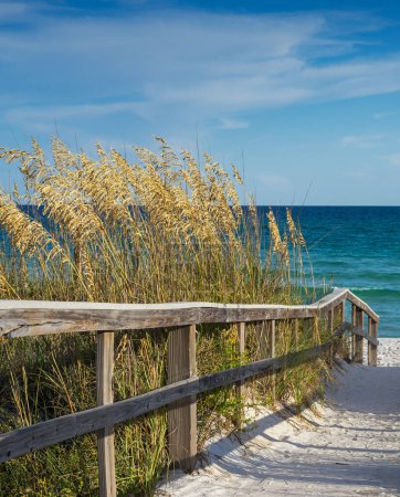 Foto de Antigua pasarela de madera bordea sendero arenoso a través de dunas con avena marina madura soplando en el viento al brillante mar verde esmeralda, Golfo de México. - Imagen libre de derechos