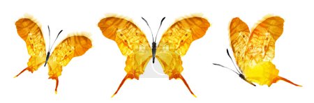 Téléchargez les photos : Color watercolor butterfly , isolated on the white background. Set - en image libre de droit