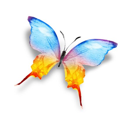 Foto de Color acuarela mariposa, aislado sobre el fondo blanco - Imagen libre de derechos