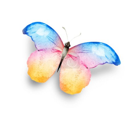 Photo for Color watercolor butterfly , isolated on the white background - Royalty Free Image