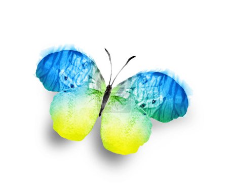 Foto de Color acuarela mariposa, aislado sobre el fondo blanco - Imagen libre de derechos