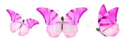 Téléchargez les photos : Color watercolor butterflies , isolated on the white background. Set - en image libre de droit