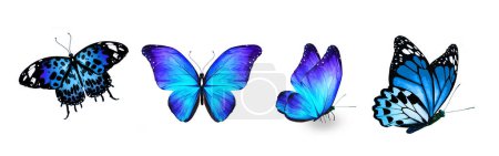Téléchargez les photos : Ensemble de papillons tropicaux de couleur, isolés sur le fond blanc - en image libre de droit