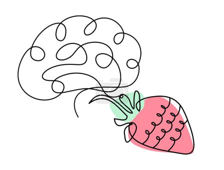 Téléchargez les photos : Ligne de dessin de la fraise de couleur et le cerveau sur le fond blanc - en image libre de droit