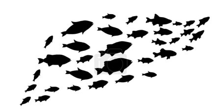 Ilustración de Las siluetas de los grupos de los peces sobre blanco. Vector - Imagen libre de derechos