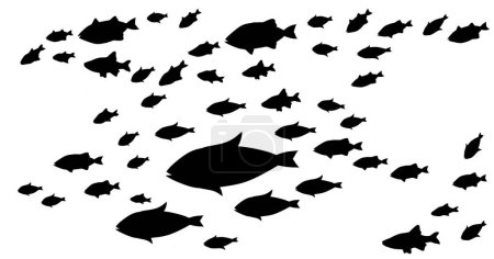 Téléchargez les illustrations : Silhouettes de groupes de poissons sur blanc. Vecteur - en licence libre de droit