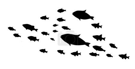 Téléchargez les illustrations : Silhouettes de groupes de poissons sur blanc. Vecteur - en licence libre de droit