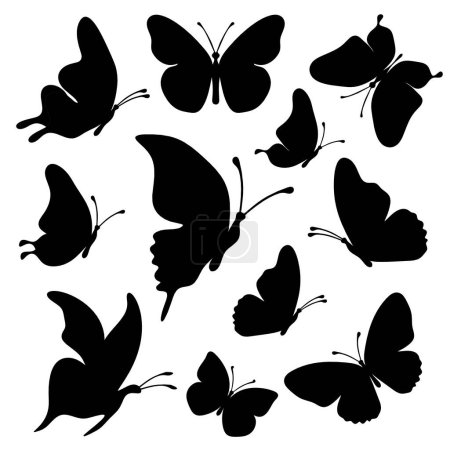 Téléchargez les illustrations : Set of silhouette black butterflies on white background - en licence libre de droit