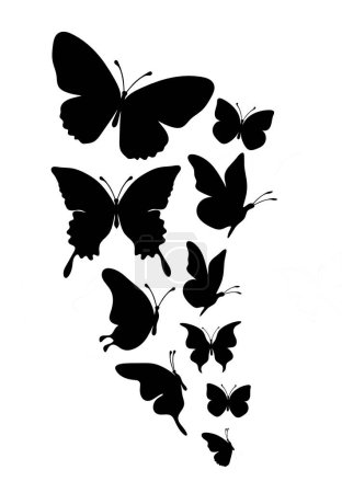 Illustration for Flock of silhouette black butterflies on white background - Royalty Free Image