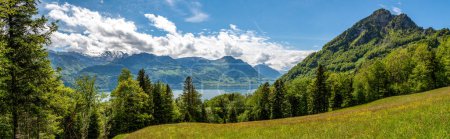 Beautiful view on lake Luzern and Swiss Alps from meadow above Gersau village in Switzerland