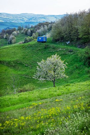 Photo for Historic agrarian landscape, Hrinovske lazy, Slovak republic. Travel destination. Seasonal natural scene. - Royalty Free Image