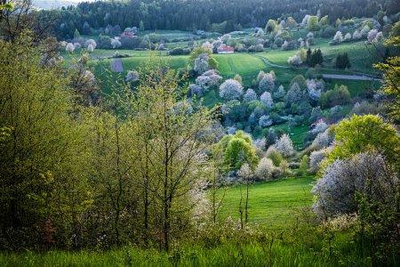 Photo for Historic agrarian landscape, Hrinovske lazy, Slovak republic. Travel destination. Seasonal natural scene. - Royalty Free Image