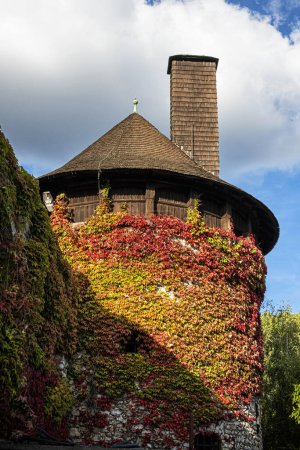 Foto de Castillo de Smolenice, República Eslovaca. Destino de viaje. Tema arquitectónico. - Imagen libre de derechos