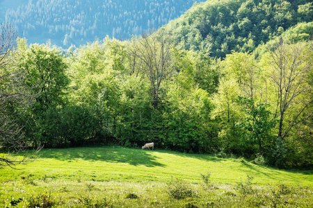 Große Fatra-Landschaft, Slowakische Republik. Saisonale Naturszene. Reiseziel. Thema Wandern.