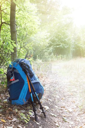 Téléchargez les photos : Sac à dos et bâtons de trekking en forêt - en image libre de droit