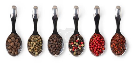 Photo for Spices on a white background - Royalty Free Image