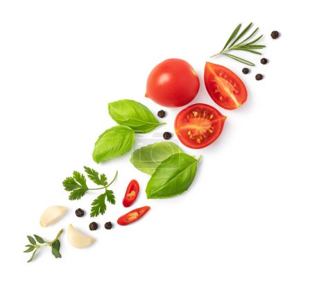 Téléchargez les photos : Tomates fraîches, herbes et épices isolées sur fond blanc - en image libre de droit