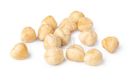 Photo for Hazelnuts isolated on white background - Royalty Free Image