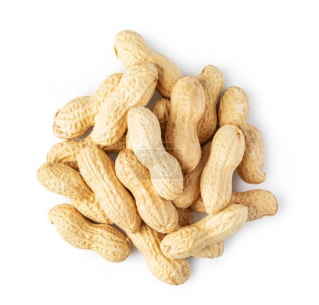 Téléchargez les photos : Cacahuètes isolées sur fond blanc - en image libre de droit