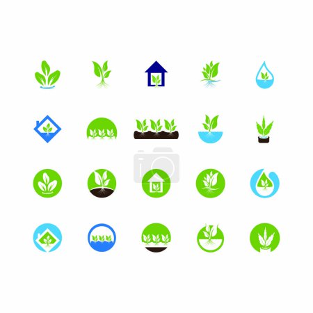 Illustration for Hydroponic Logo Vector Template Illustration - Royalty Free Image