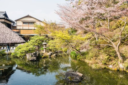 Téléchargez les photos : Chemin De La Philosophie à Kyoto, Japon - en image libre de droit