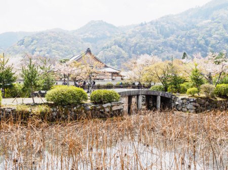 Temple in Arashiyama, Japan