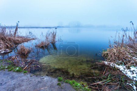 Orilla del lago con cañas en un día de niebla, al este de Polonia
