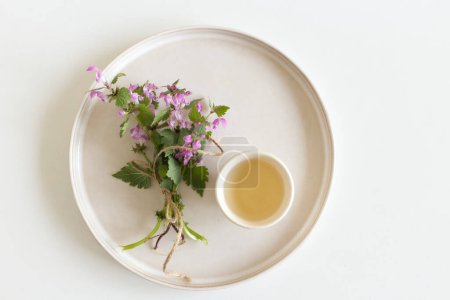 Nahaufnahme von Lamium amplexicaule, gemeinhin bekannt als gemeiner Henbit oder größerer Henbit, Teller und Tasse aus Steingut mit floraler Teekomposition.