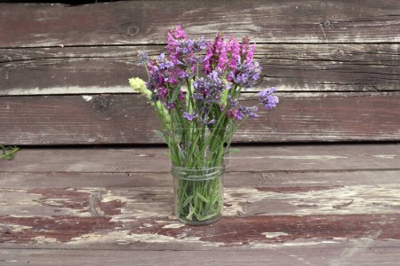 Betonica officinalis, noms communs betony, betony pourpre, common hedgenettle - plante à fleurs isolée sur des plantes médicinales de fond en bois.Espace vide pour votre texte.