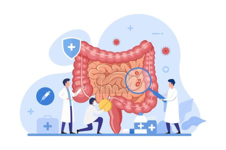 Ilustración de Doctor check and treat intestine design concept. Health care and digestive system health treatment vector illustration - Imagen libre de derechos