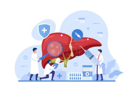 Illustration for Doctor make liver examination design concept. Hepatologists diagnose, manage, and treat conditions affecting the liver vector illustration - Royalty Free Image