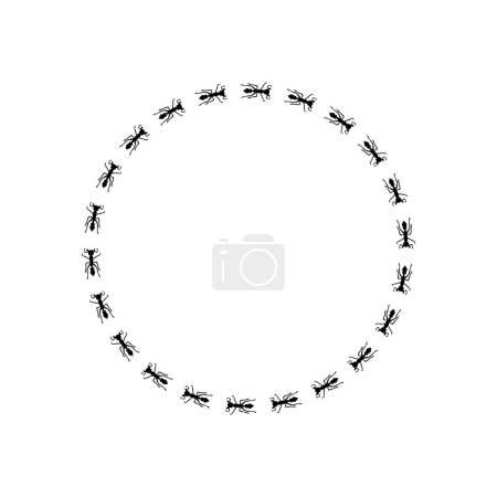 Téléchargez les illustrations : Silhouettes de fourmis illustration de sentier en forme de cercle. Illustration vectorielle de stock isolée sur fond blanc dans un style simple et plat. - en licence libre de droit