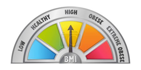 Illustration for Bmi meter concept. Body mass index sympol. Stock vector illustration in realistic cartoon style. - Royalty Free Image