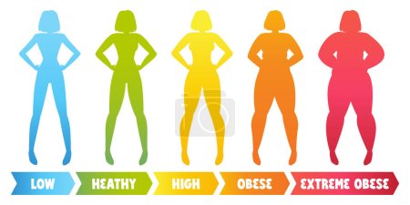 Illustration for Woman types obesity Girl with low and high BMI index. Fatness concept. Stock vector illustration isolated on white background in cartoon style. - Royalty Free Image