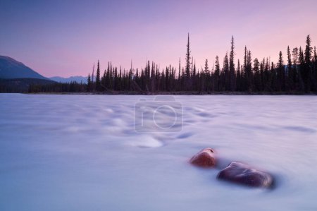 Téléchargez les photos : Rivière Athabasca au lever du soleil, parc national Jasper, Alberta, Canada - en image libre de droit