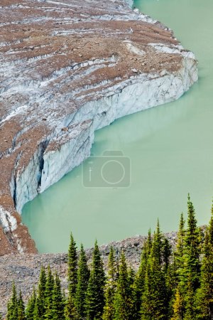 Foto de Glaciar Edith Cavell en el Parque Nacional Jasper, Alberta, Canadá - Imagen libre de derechos