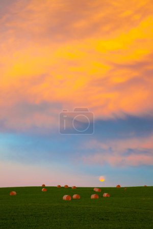 Photo for Moonrise at Sunset in a hay field in southern Alberta, Canada - Royalty Free Image