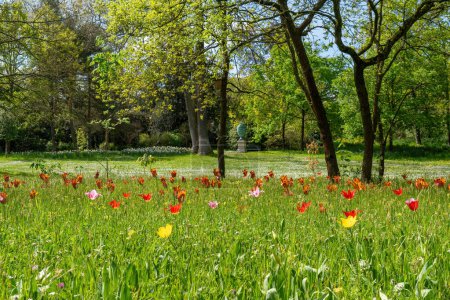 Flowers in the Bagatelle Park at springtime. It is located in Boulogne-Billancourt near Paris, France