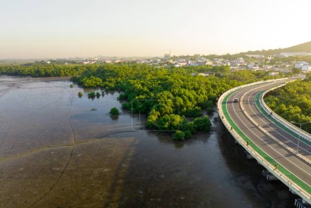 Téléchargez les photos : Vue aérienne de la route courbe avec forêt de mangroves vertes et ville balnéaire. Écosystème de mangroves. Les mangroves captent le CO2 de l'atmosphère. Ecosystèmes de carbone bleu. Les mangroves absorbent les émissions de dioxyde de carbone. - en image libre de droit