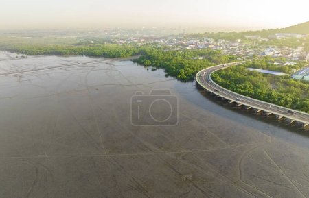 Foto de Aerial view of mudflat, mangrove forest, and sustainable city and green mangrove forest. Mangroves capture CO2 from the atmosphere. Blue carbon ecosystems. Mangroves absorb carbon dioxide emissions. - Imagen libre de derechos