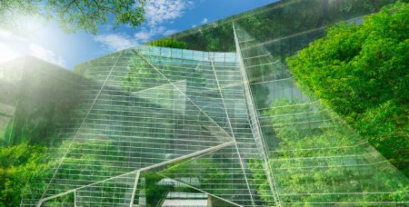Téléchargez les photos : Sustainble green building. Eco-friendly building. Sustainable glass office building with tree for reducing carbon dioxide. Office with green environment. Corporate building reduce CO2. Safety glass. - en image libre de droit