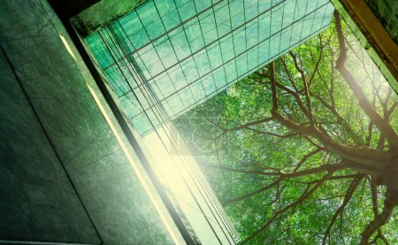 Photo for Sustainble green building. Eco-friendly building in modern city. Sustainable glass office building with tree for reducing carbon dioxide. Office with green environment. Corporate building reduce CO2. - Royalty Free Image