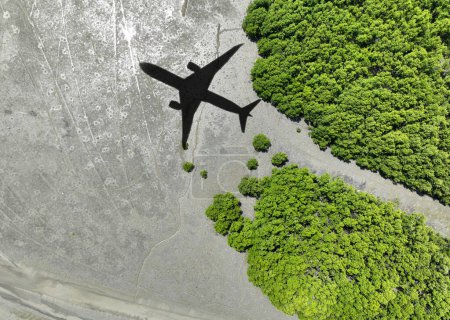 Téléchargez les photos : Avion d'ombre volant au-dessus de la forêt de mangroves. Carburant durable. Biocarburant dans l'aviation. Transport durable et vol respectueux de l'environnement avec utilisation de biocarburants. Durabilité aérienne. Les mangroves capturent le CO2 - en image libre de droit