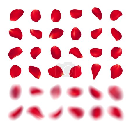 Téléchargez les illustrations : Vector template of red rose petal of different shape isolated on white background. Realistic volumetric blurred burgundy petals. Blur effect illustration - en licence libre de droit