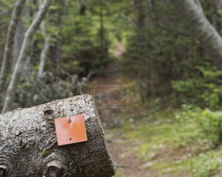 Colored trail markers providing direction and safety for hikers.