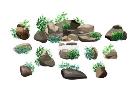 Coastal pebbles,cobblestones,gravel,minerals and geological formations.Collection of stones of various shapes.Rock fragments,boulders and building material.Vector illustration.