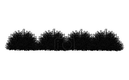 Illustration for Realistic garden shrub, seasonal bush, boxwood, tree crown bush foliage.Set of ornamental black plant in the form of a hedge.For decorate of a park, a garden or a fence. - Royalty Free Image
