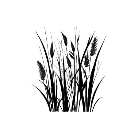 Illustration for Monochrome image of a plant on the shore near a pond.Image of a silhouette reed or bulrush on a white background. - Royalty Free Image